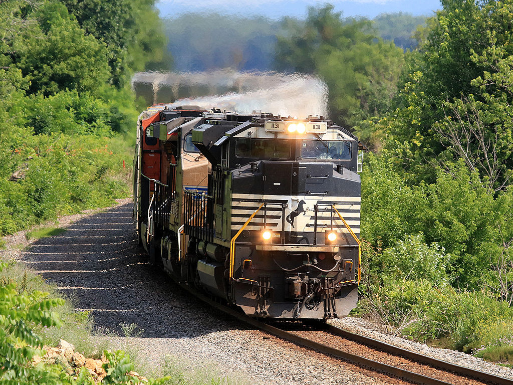 NS 1131